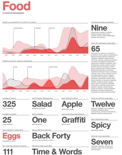 The Feltron Annual Report of 2009 - information aesthetics #feltron #infographic #annual #report