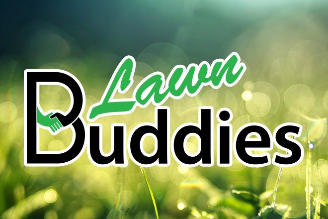 Call A Buddy | Lawn Buddies gardening home maintenance Canberra