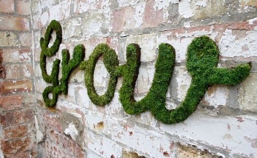 1.jpg (JPEG Image, 876×540 pixels) #type #nature #anna #garforth