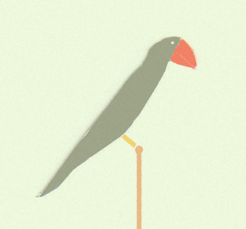 Oiseau, bird, illustration, summer, animal, illustrator, tropical