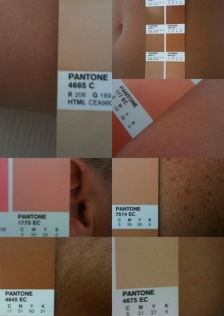 ordinary day o zone palette: summer skin #colors #colour #pantone #palette