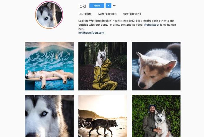 @Loki - Over 1,7 millions followers