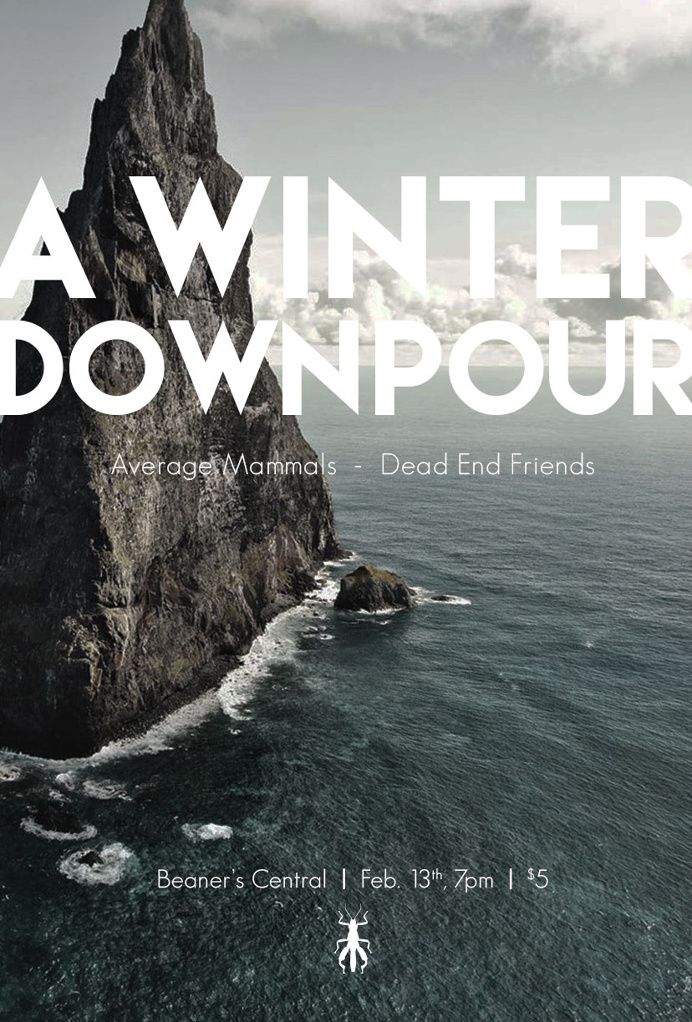 A Winter Downpour poster inspired by Ball's Pyramid and the bugs that live there. #poster #duluth #minnesota