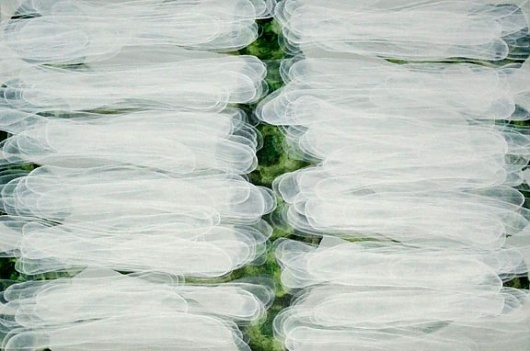 Separated from the familiar, confronted with the unfamiliar, and... - but does it float #painting #art