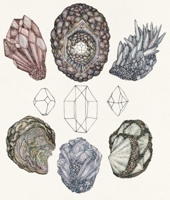 Graphic BirdWatching #illustration #crystals