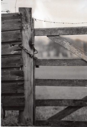Make Mistakes. #film #analogue #white #wooden #photo #composition #black #photograph #gate #and