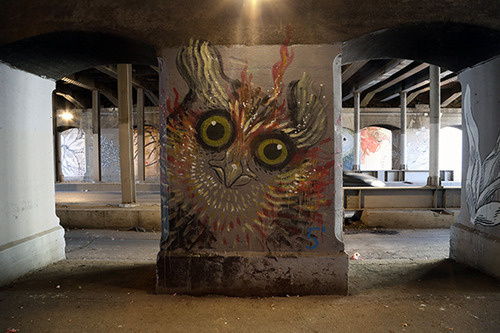 hitnes | Tumblr #owl #hitnes