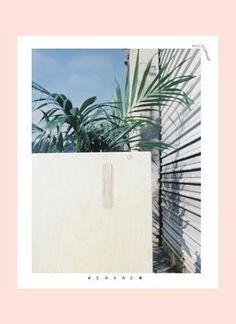 Synonym journal: Issue 3