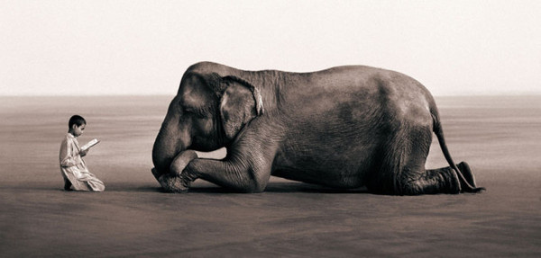 Gregory Colbert