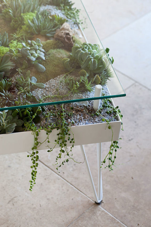 #furniture #plants #livingfurniture