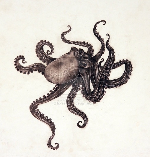 tumblr_m1w3cpuhaE1rt2qclo1_1280.jpg (900×938) #octopus #drawing #art