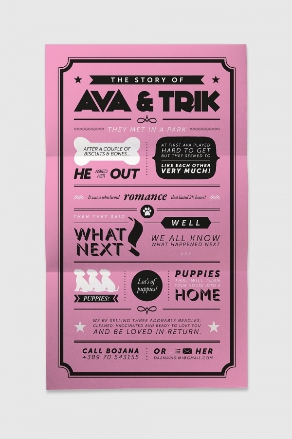 The story of Ava & Trik / Poster #pink #dog #poster #typography