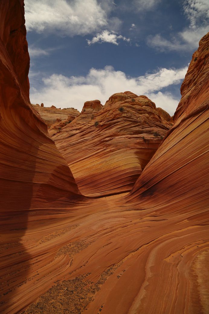 The wave photo by Stephen Leonardi (@stephenleo1982) on Unsplash