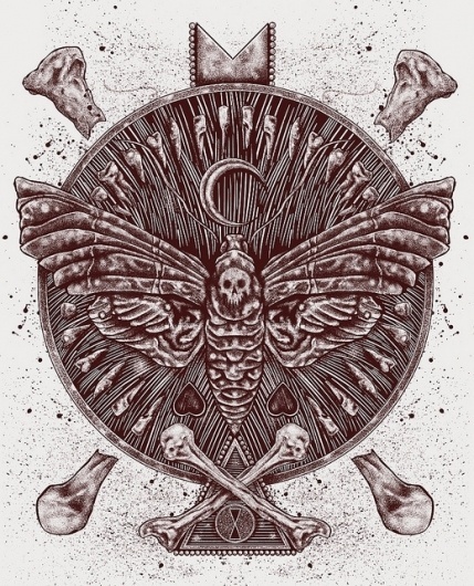 Moth | Flickr - Photo Sharing! #moth #xderekx