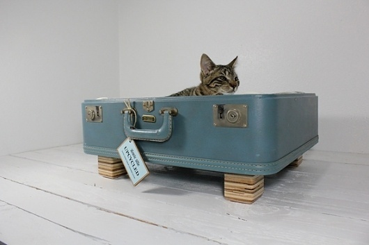 Vintage Pet Beds by AtomicAttic | selekkt.com/blog #idee #einrichtung