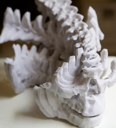 lucy portrait | Flickr - Photo Sharing! #mike #printing #pelletier #skull #scan #3d