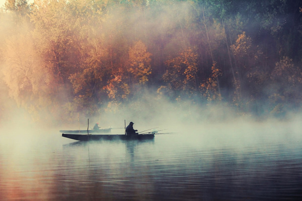 Misty Nature Photography #photo