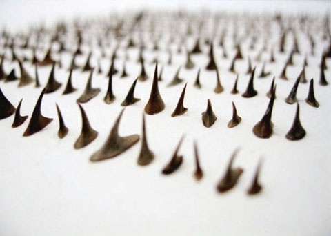 Thorns – Cui Fei #fei #cui #art