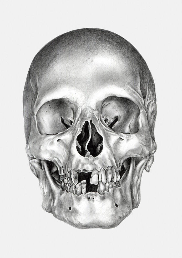 Illustrations idea #437: Ivan kamargio illustration #white #& #black #illustration #skull