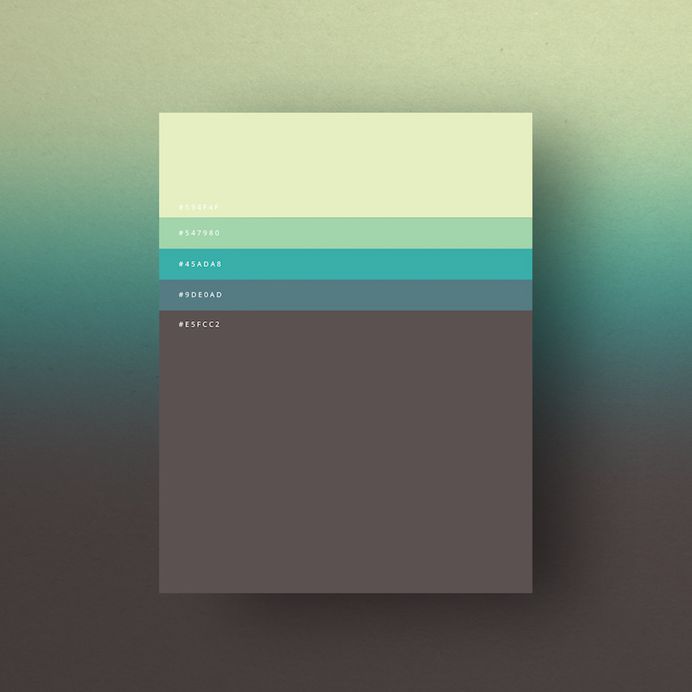 Minimal web color palettes/combination with hex code - 7