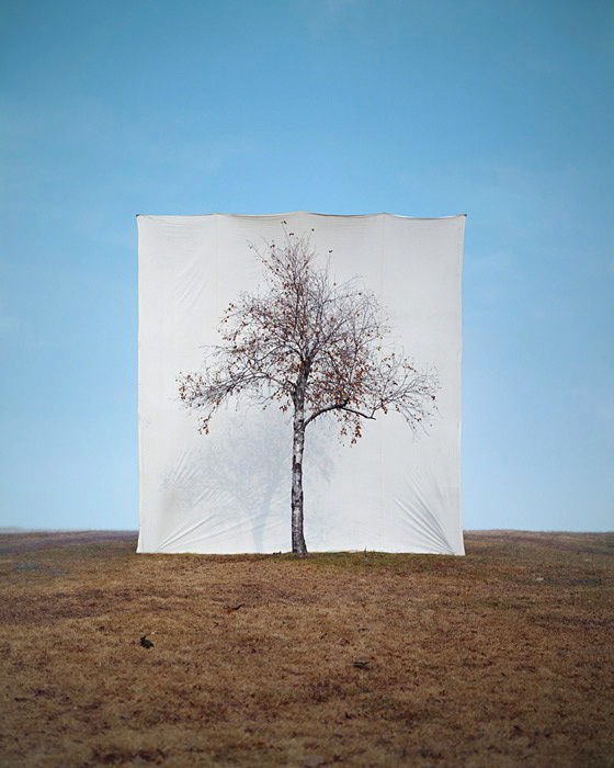 I secretly think reality exists so we can speculate about it but does it float #nature
