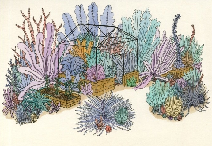 ebony-eden: Coral garden #garden #greenhouse #illustration #plants