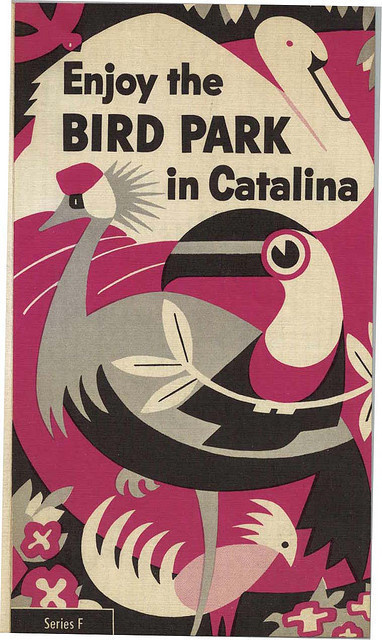 Brochure for the bird park on Catalina Island. Cool illustration. | Inspiration DE #island #illustration #bird