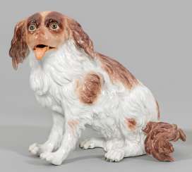 Bologneser Hund #Sets #Teasets #Porcelainsets #Antiqueplates #Plates #Wallplates #Figures #Porcelainfigurines #porcelain