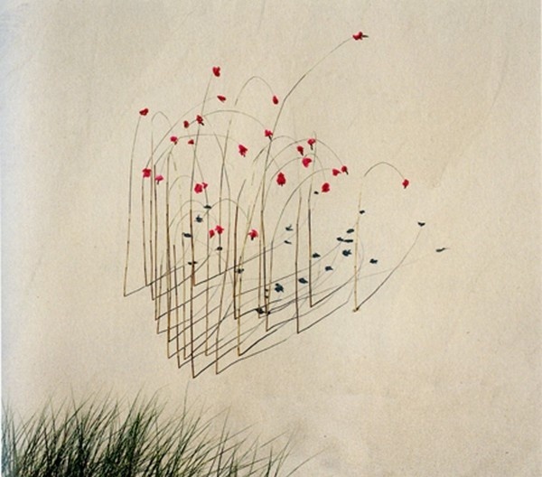 http://www.collectionsocietegenerale.com/data/collection_96000/fiche/5078/xlarge_udo_nils_roseaux_brins_dherbe_petales_deglantines_rosa_rugo #peinture #art #flowers
