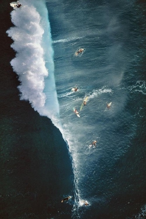 tumblr_n2ykl6KvKN1qc8le9o1_500.jpg (500×747) #wave