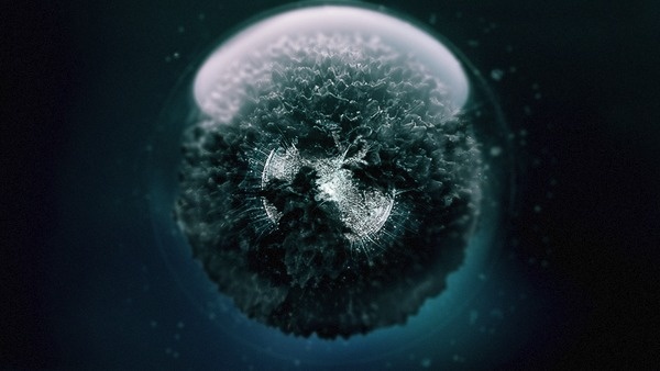 thorp #prologue #ash #vfx #thorp