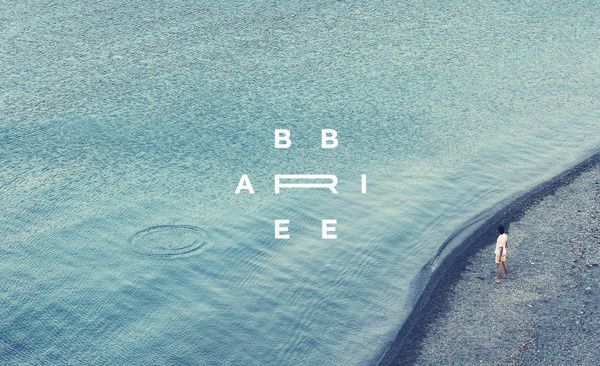 Ari Bre Bre Filmmaker | Identity on Behance #logo