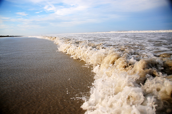 Seaside #nature