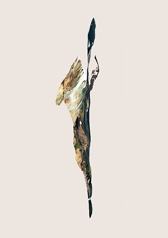 FFFFOUND! #illustration