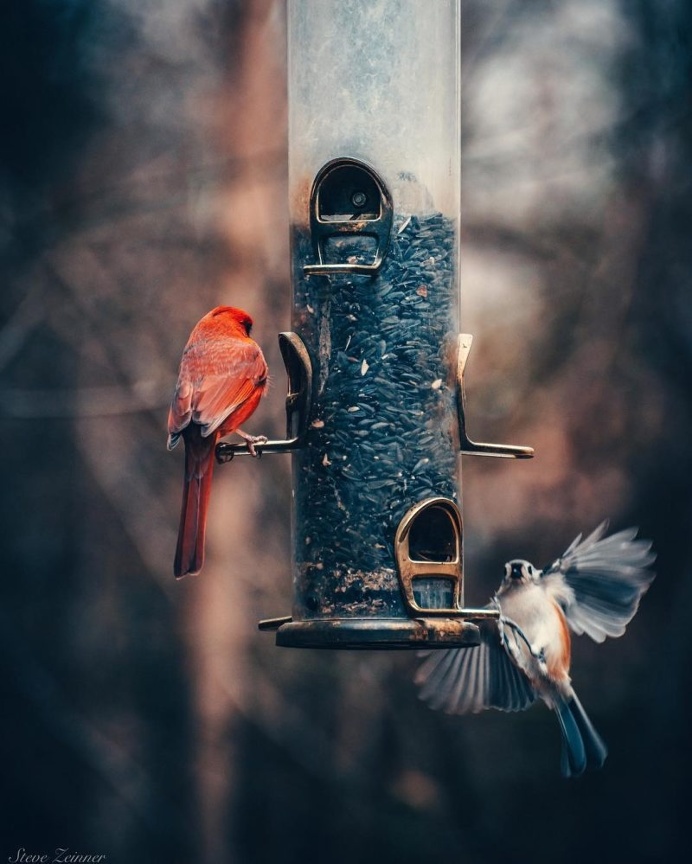 Beautiful and Colorful Instagrams by Steve Zeinner