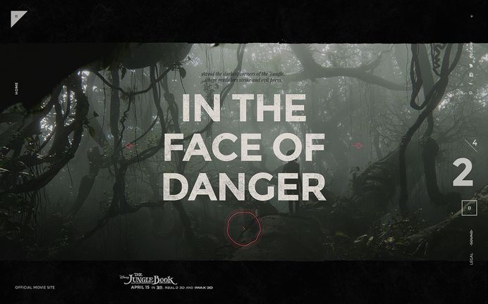THE LAW OF THE JUNGLE on Behance