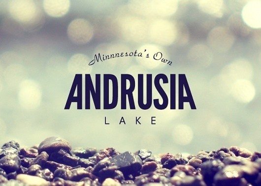 Branding 10,000 Lakes #lakes #logos #000