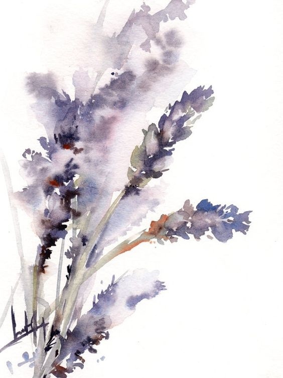 Lavender Watercolor