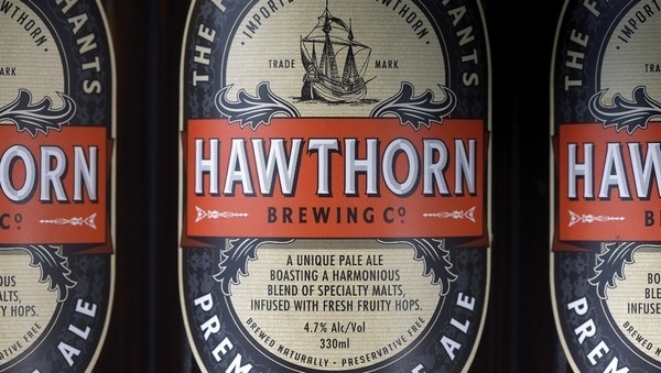 Hawthorn Brewing Co. #beer #wittier #branding #pale #packaging #drink #co #label #food #boutique #brewing #company #amber #logo #ale #pilsner #hawthorn