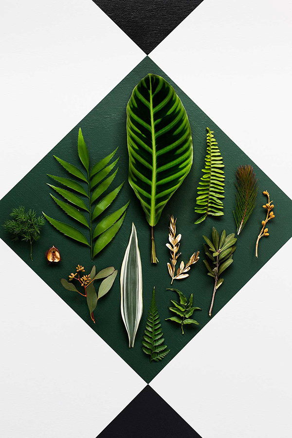 Hayme Colour Forecast 2014 Yellowtrace 09 Color Trends: Haymes Color Forecast 2015 #styling