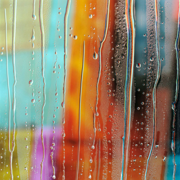 Carol Inez Charney | PICDIT