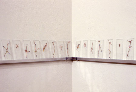 Nina Katchadourian, Map Dissection II #map #nina #ii #dissection #katchadourian