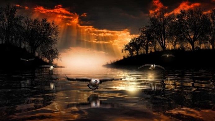 Dreamlike Animals Photography by Nasser Osman