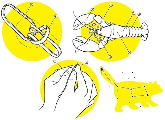 How To Make the Most of Summer | BLDGWLF #constellation #rope #illustration #whistle #summer #lobster #jumpsie