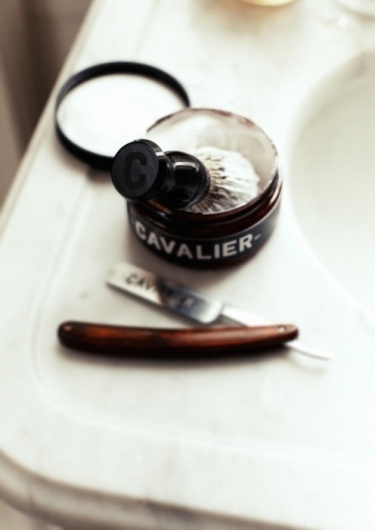 Cavalier #shaving #cavalier