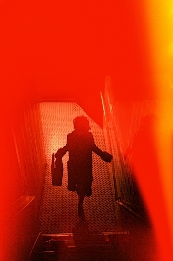 Photography by Wing Shya #photography
