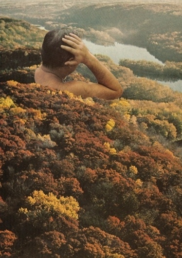 TIM KARLSSON #water #tree #landspace #nature #moment #collage #chill