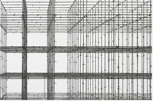 The Supermarket #barbed #sculpture #wire