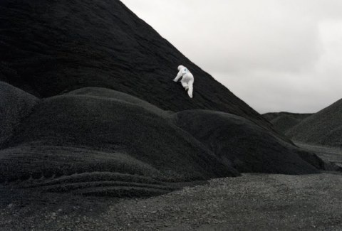Allison Davies | PICDIT #photo #photography #landscape