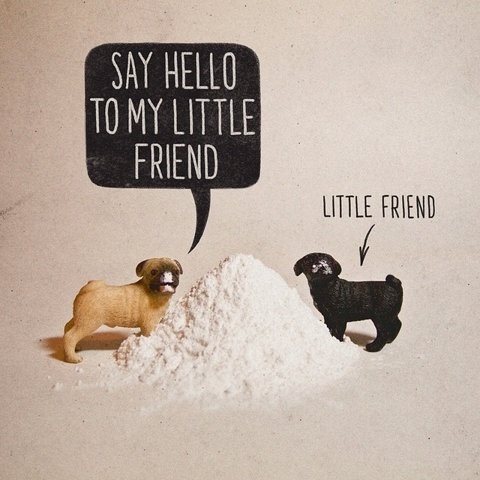 FFFFOUND! | Pugs + Drugs | Flickr - Photo Sharing! #pugs #illustration #dogs